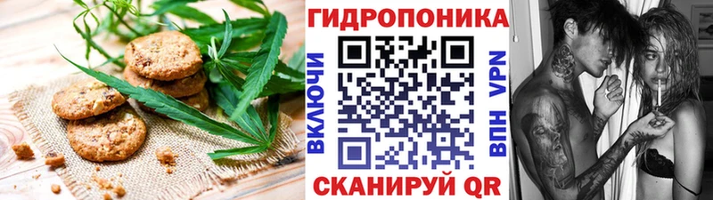 Canna-Cookies конопля  Нальчик 