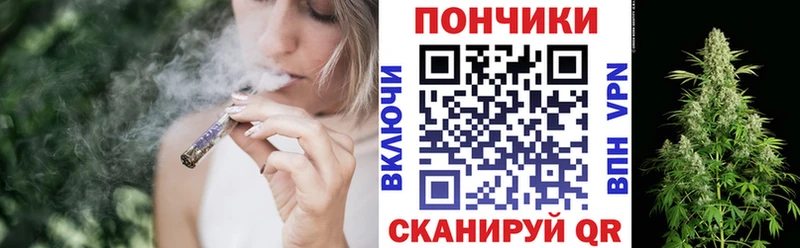 как найти наркотики  Нальчик  hydra онион  Бошки марихуана SATIVA & INDICA 